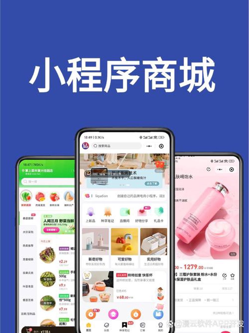 商城网站开发：构建电商梦想的桥梁